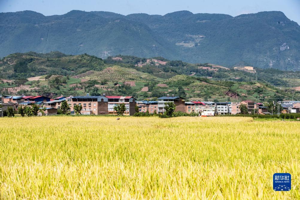 喜迎捕鱼游戏中心下载